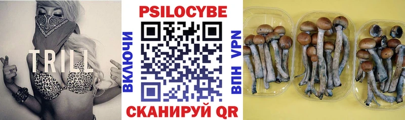 Галлюциногенные грибы Cubensis  Усолье 